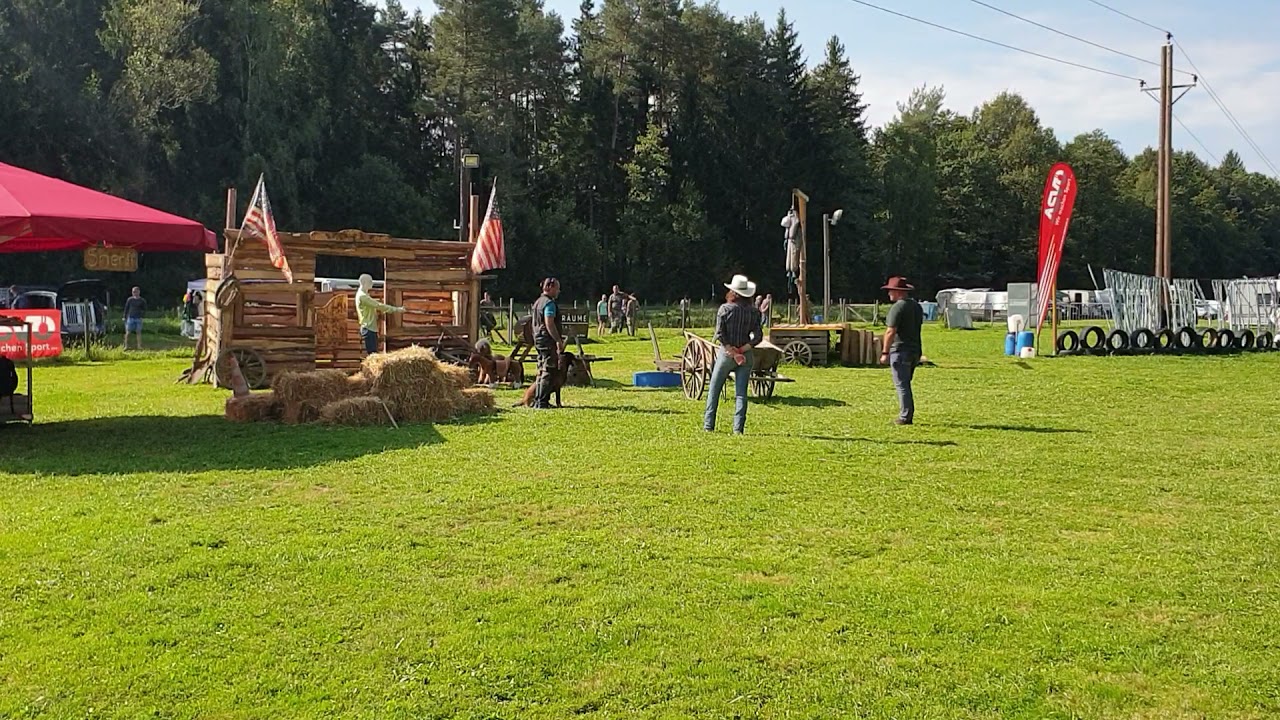 Mondioring Cat1 in Unterpremstätten. 193,5 Punkte Mathias Kastner