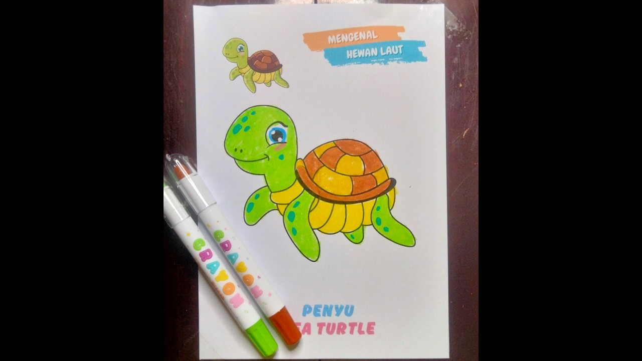 Tutorial Mewarnai Kura-Kura dengan Krayon dan Spidol. #turtle #coloring #crayondrawing
