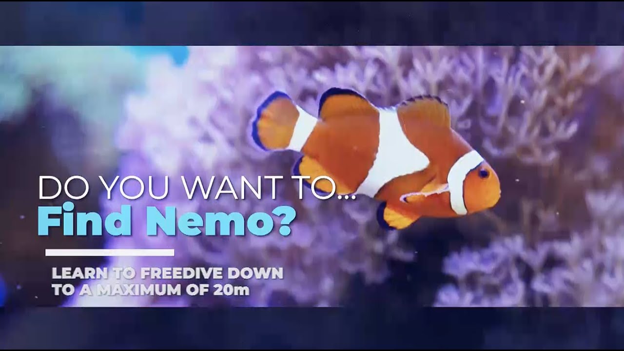 NAUI Free diving course - 21 November 2020