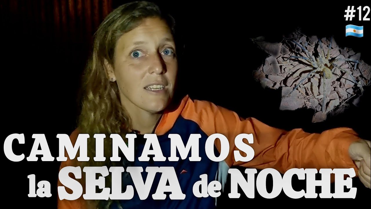 Es peligrosa la SELVA MISIONERA de NOCHE 👉 Parque PROVINCIAL URUGUAÍ 🐍 ABRIENDOHUELLASXELMUNDO🌎
