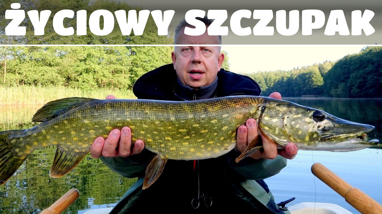 Pike Attacks on the Surface - Weekly Dose of FishingWithAce 4#