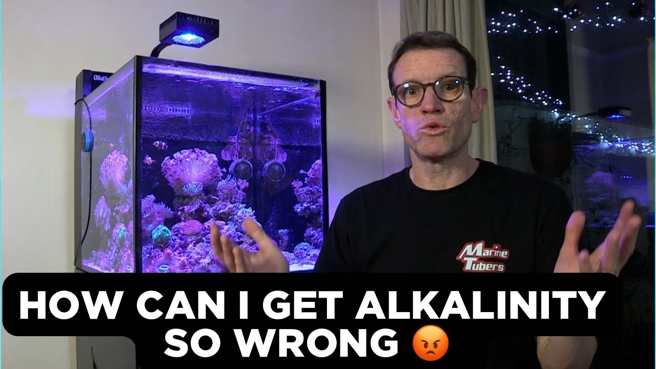 Testing Alkalinity In a Reef Tank: Learn from my mistake