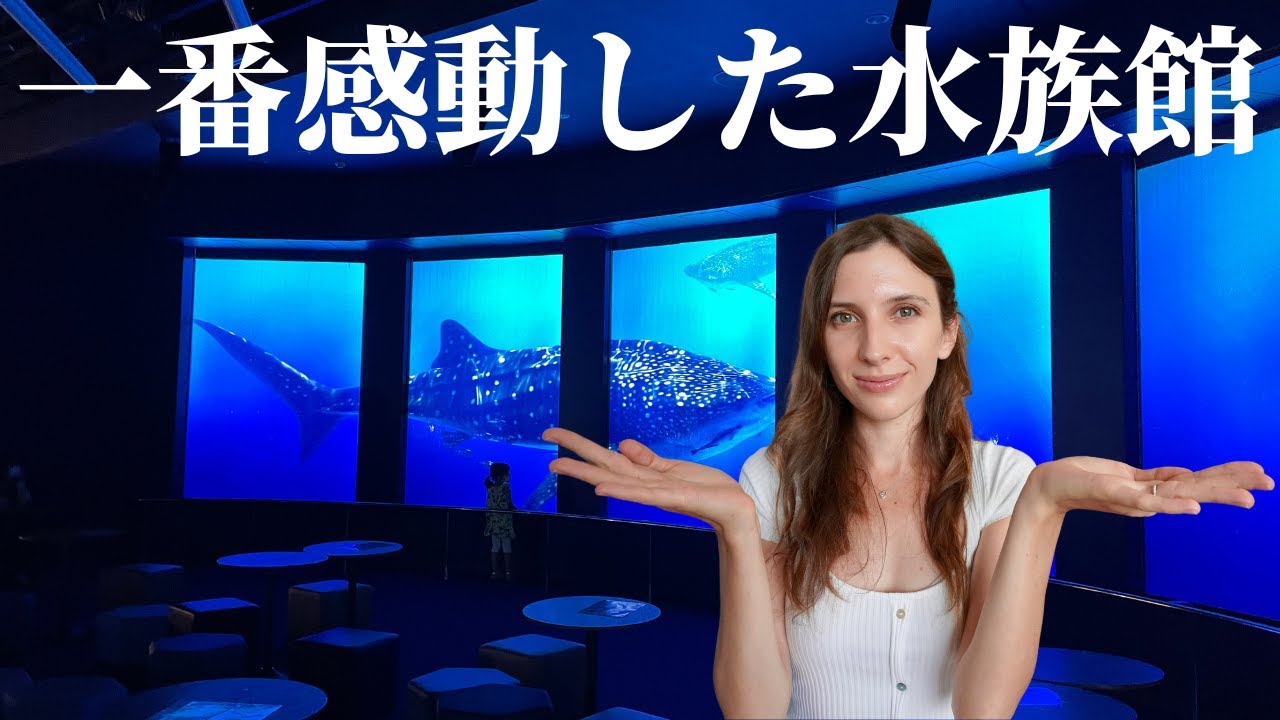 今まで一番感動した水族館はここ！【沖縄・DMMかりゆし水族館】人生初海鼠を触った外国人