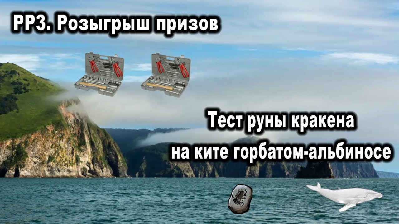 РР3. Тест руны 