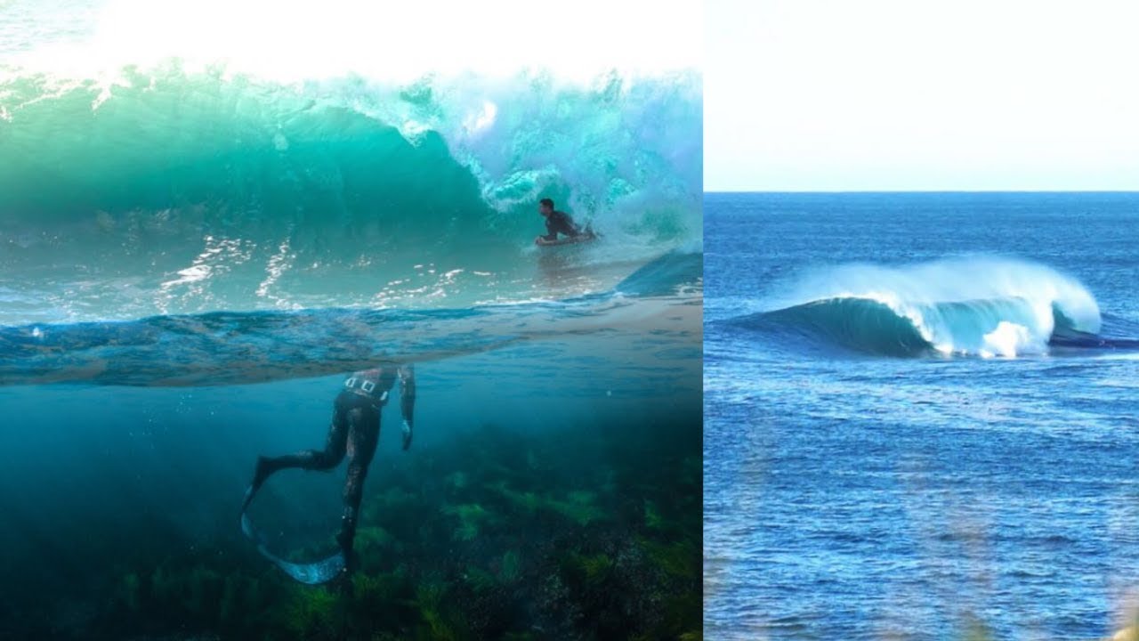 Bodyboarding South Coast of NSW || Hunting for Octopus and Abalone ||