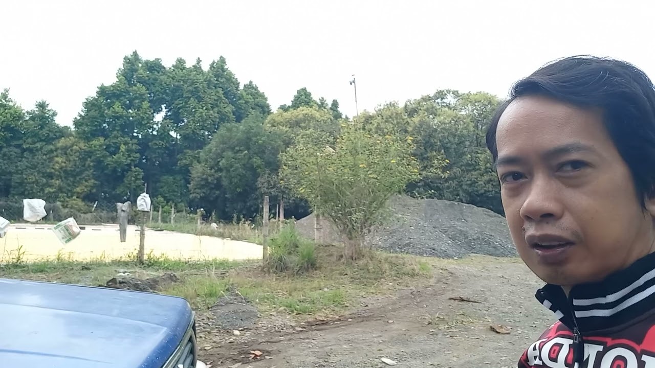 Nagbulak na ang mangga sa farm 2026