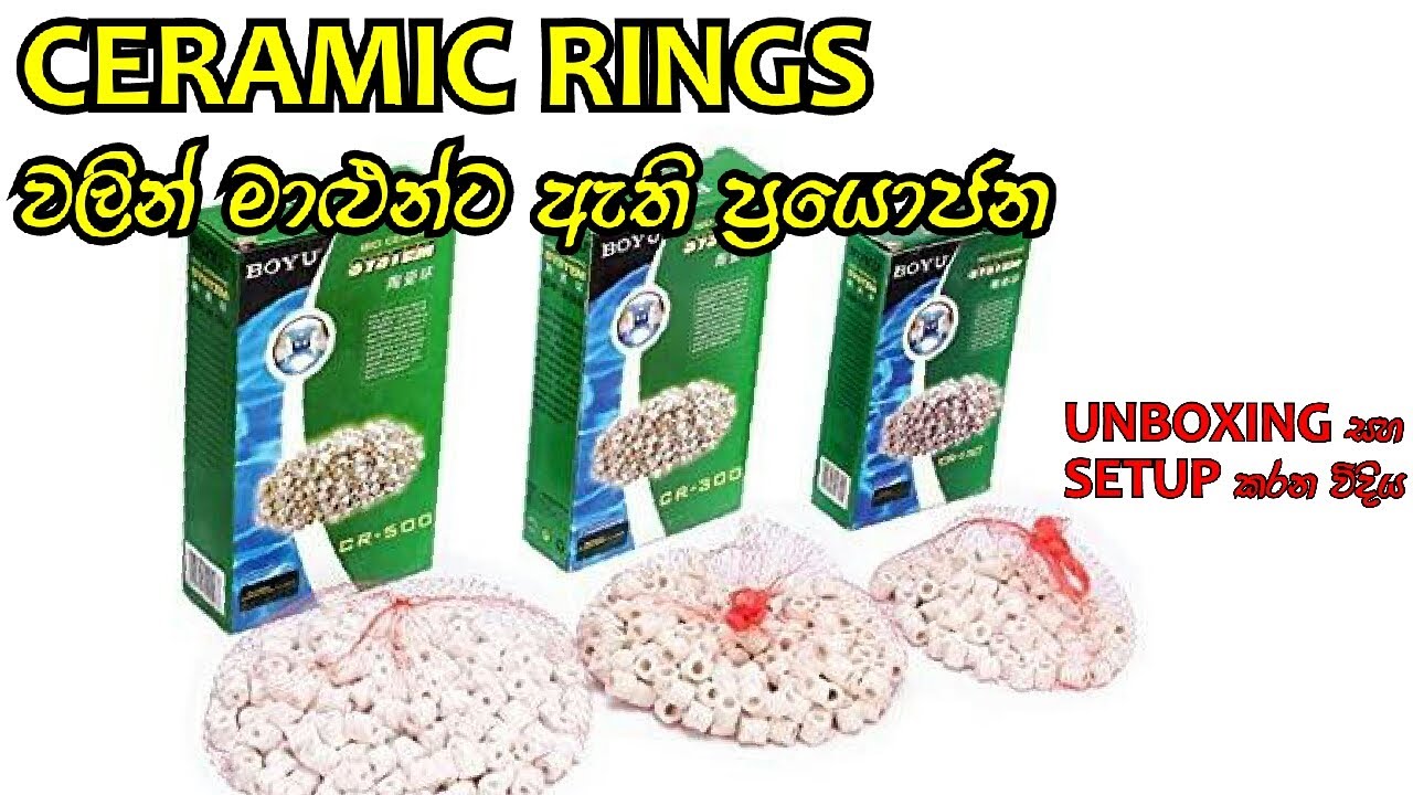 All about ceramic rings in sinhala/D.H FISH ADVISOR