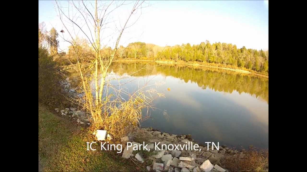 IC King Park Mishap