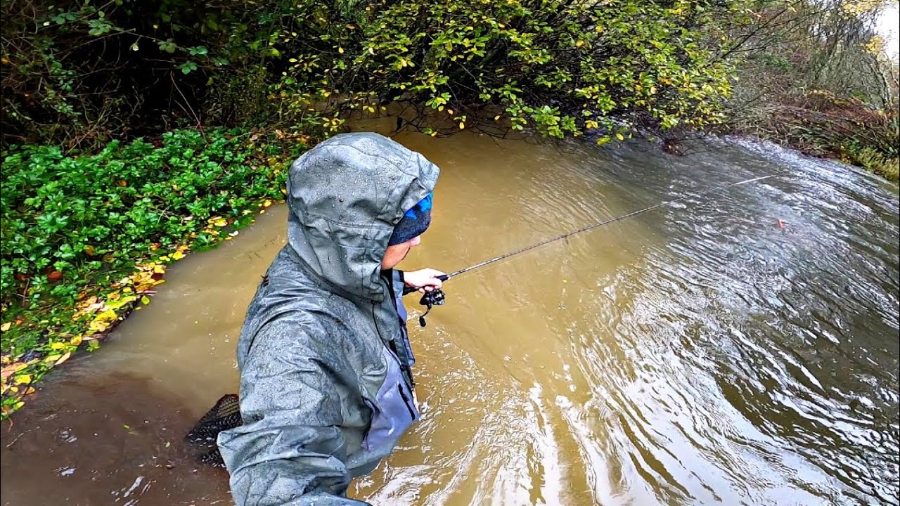 Pesca de Truchas en río Turbio y con Mucho caudal, Aventura en Solitario por el Río.
