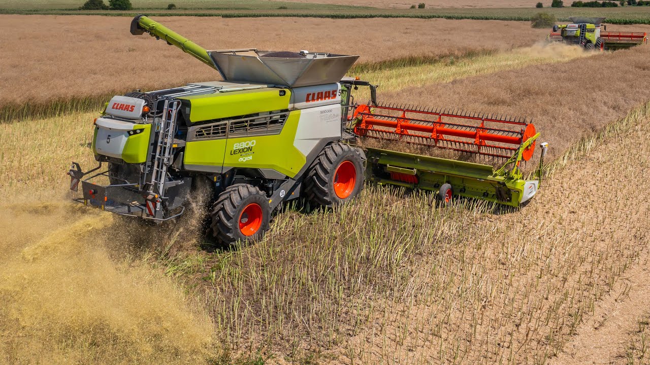 🌾 Žatva (Harvest) 2025 | 2x Claas Lexion 8800 | Claas Axion 920