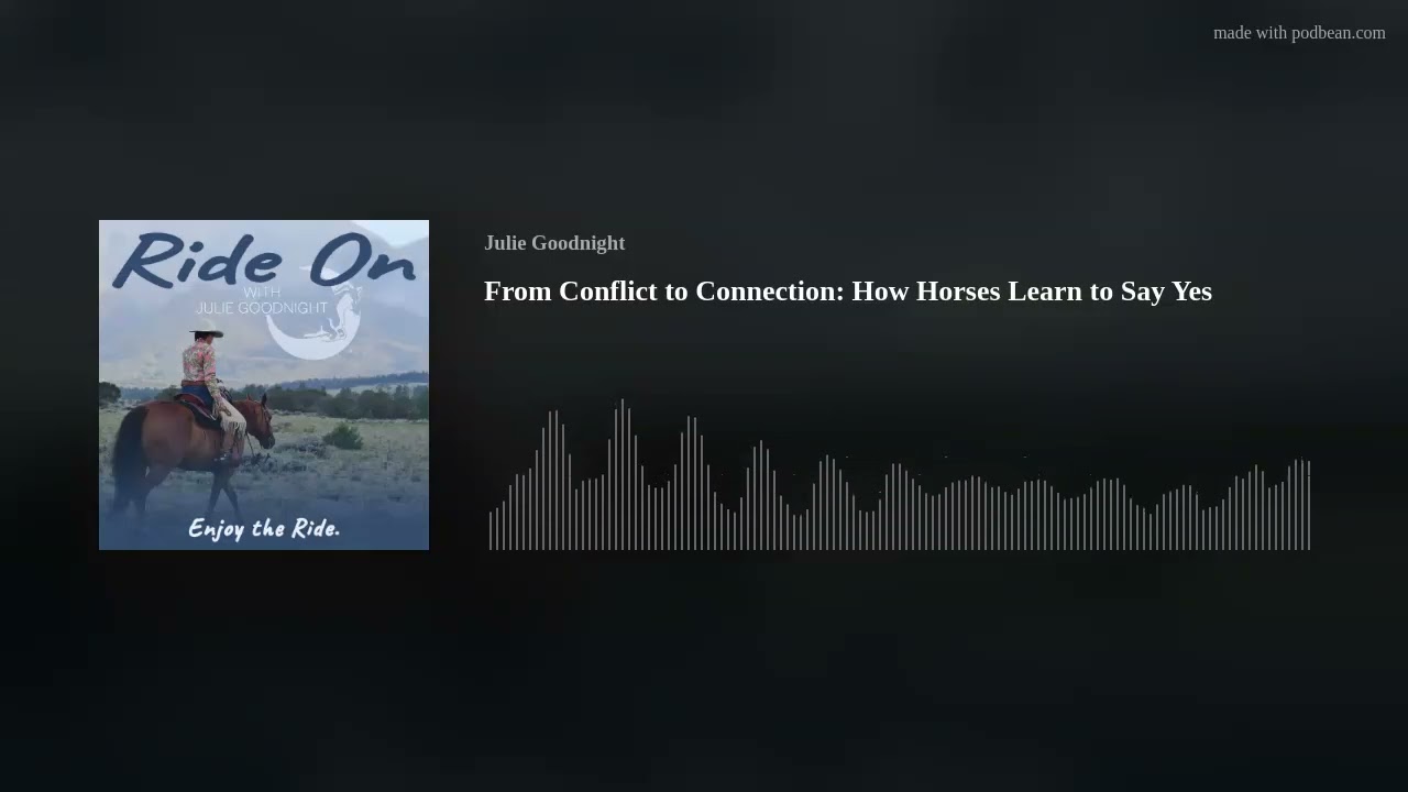 From Conflict to Connection: How Horses Learn to Say Yes