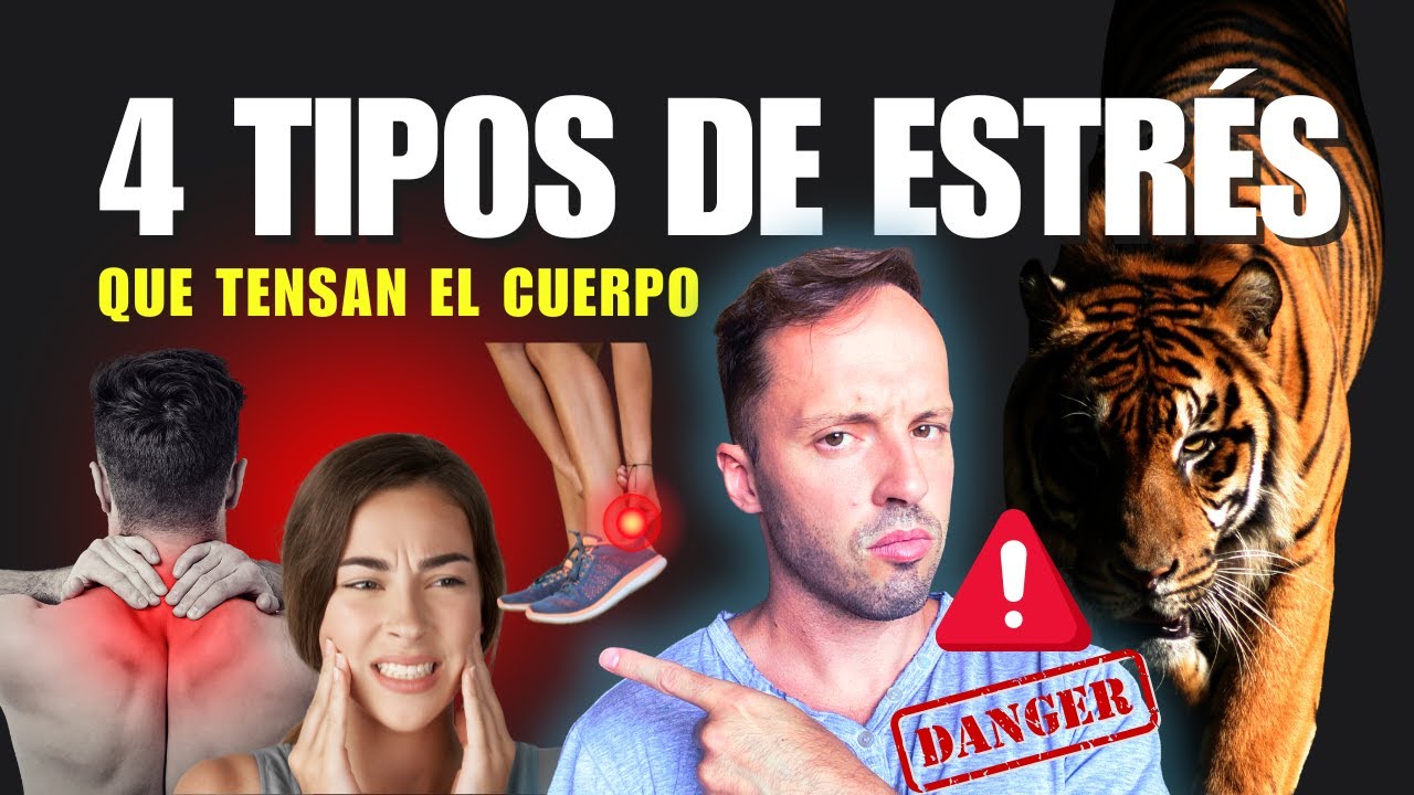 4 Tipos de Estrés que Destruyen el Cuerpo y No lo Sabías (El nº4 ni te lo IMAGINAS)