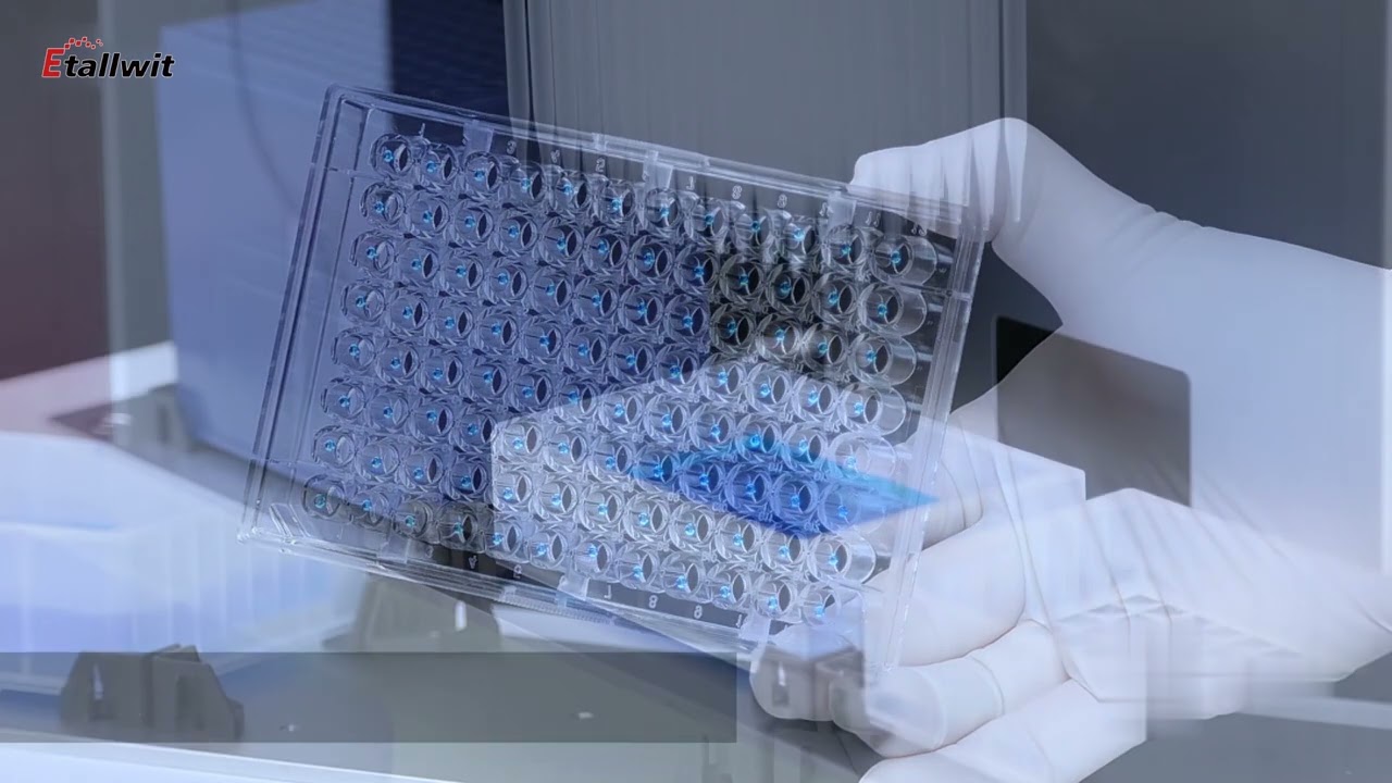 High-Throughput Liquid Handling – Etallwit’s 96-Channel Fully Automated Liquid Handling Workstation!