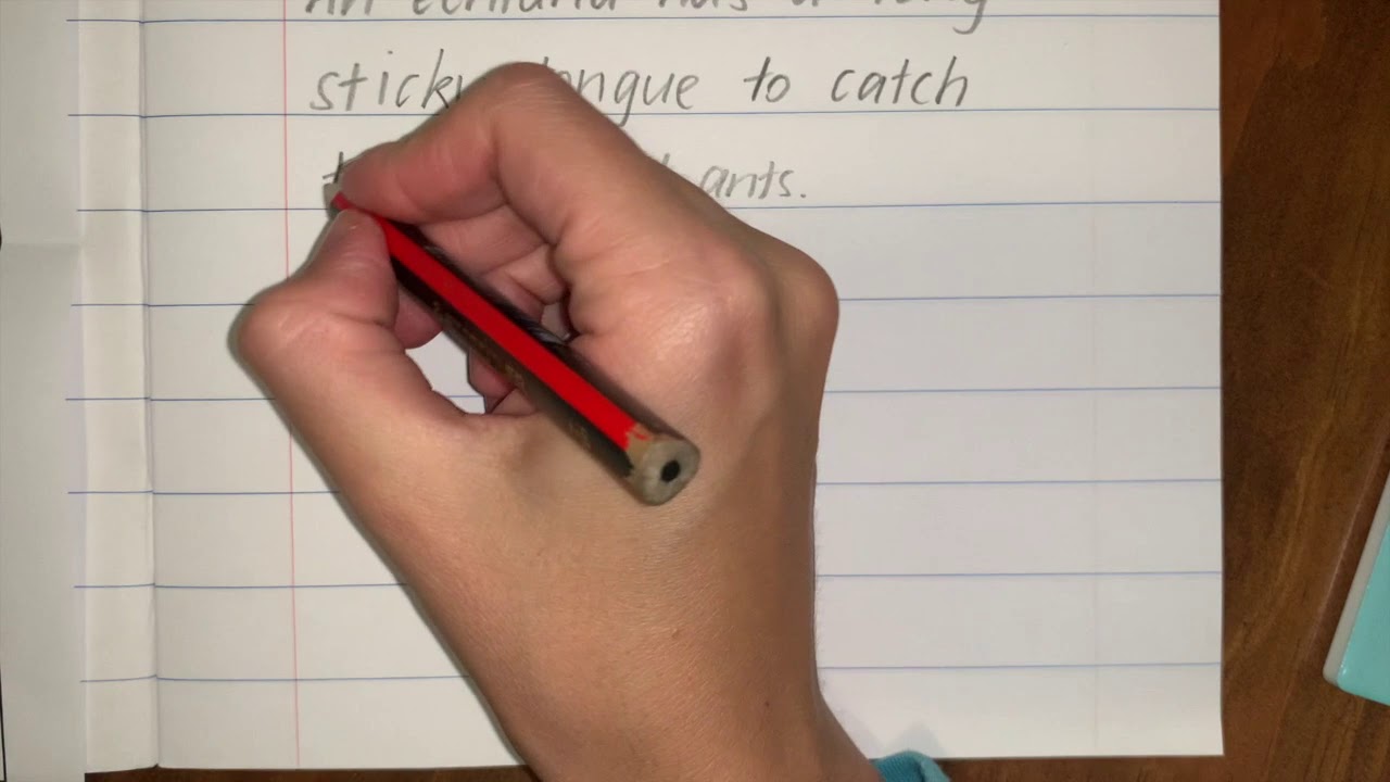 Information Report writing