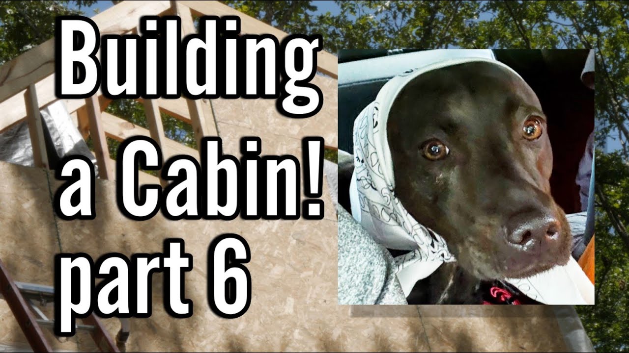 BUILDING A CABIN!!! PART 6!!