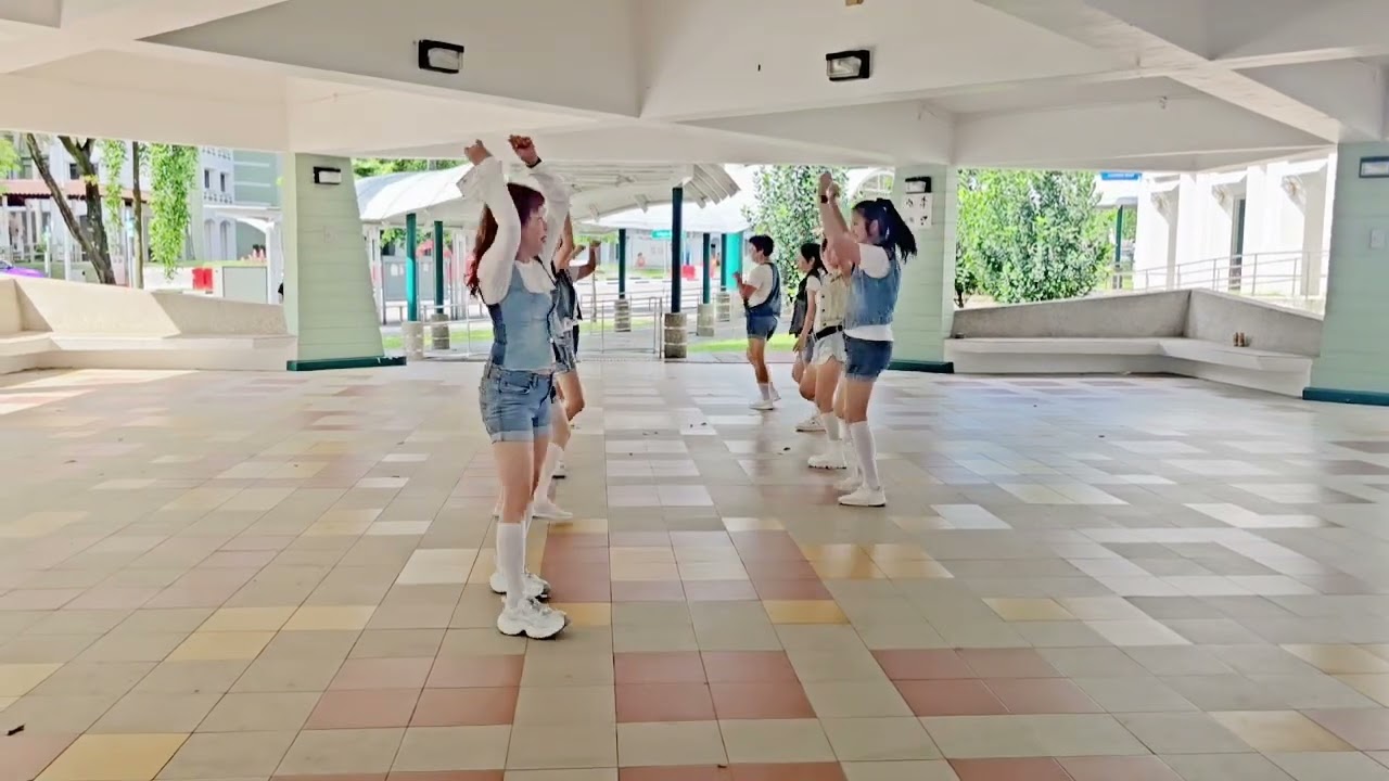 Happy Contra - Line Dance (Improver Contra)