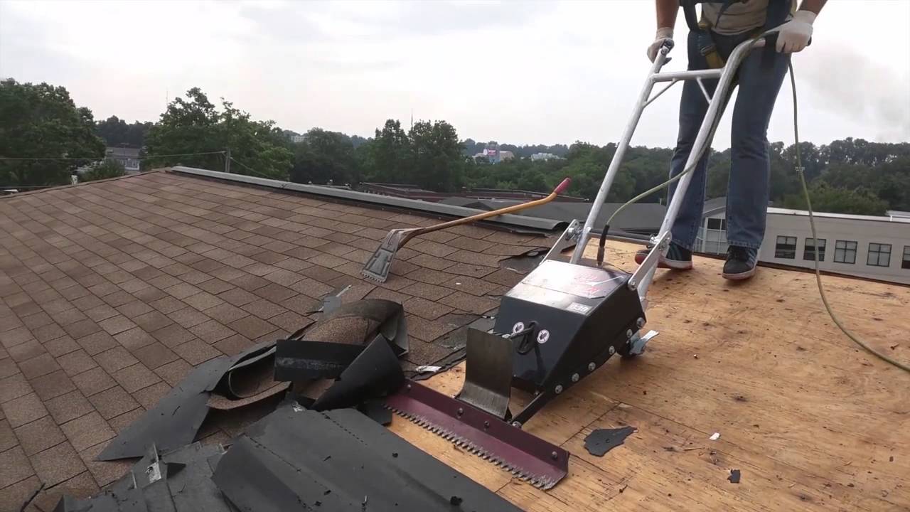 A Day on the Roof