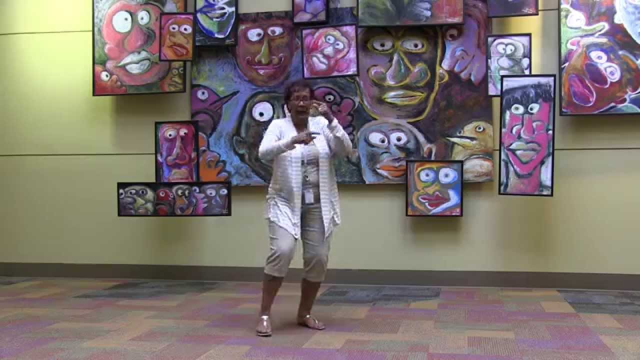 Career Academy South Bend 2014-2015 Introduction Video 