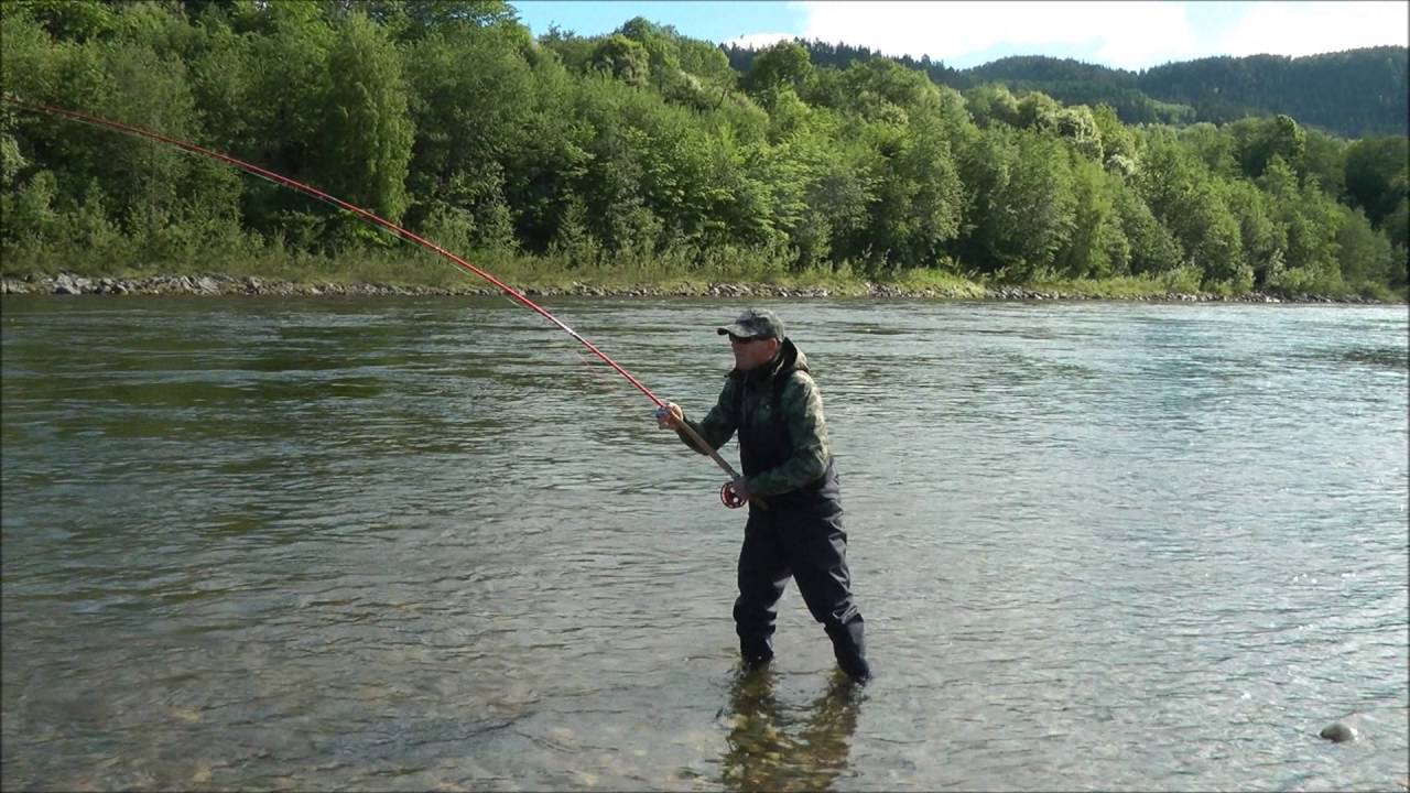 Gaula, 2 salmon c & r by Orazio Gatti, 5th of June 2016, salmon no. 2, length 112cm / 44,1 in.
