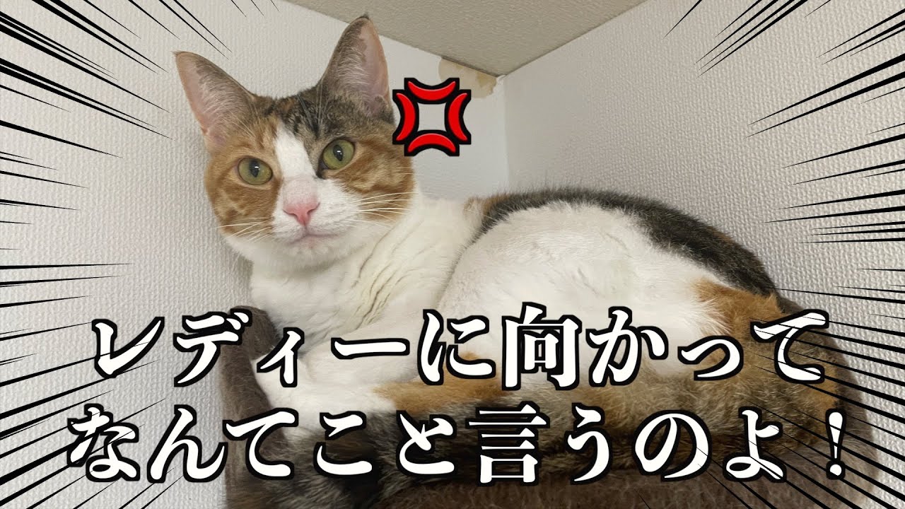 「最近太った？」と言われて体重測ったら、〇〇kg太ってた…