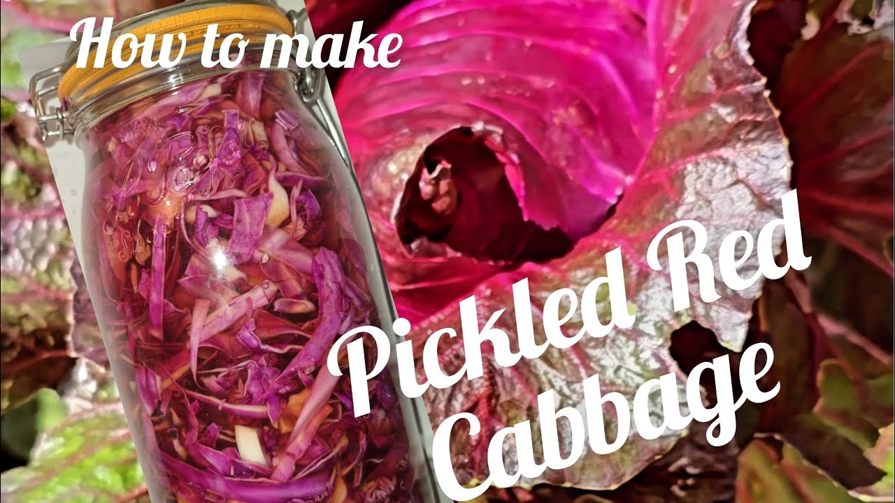 How to Make HOMEMADE Pickled Red Cabbage 🥬