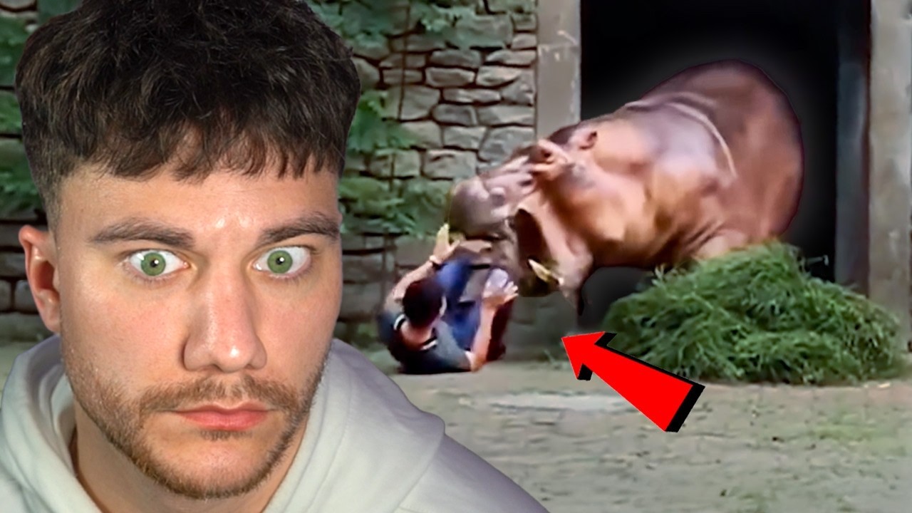 3 HODINY NEJHORŠÍCH ZVÍŘECÍCH ÚTOKŮ..