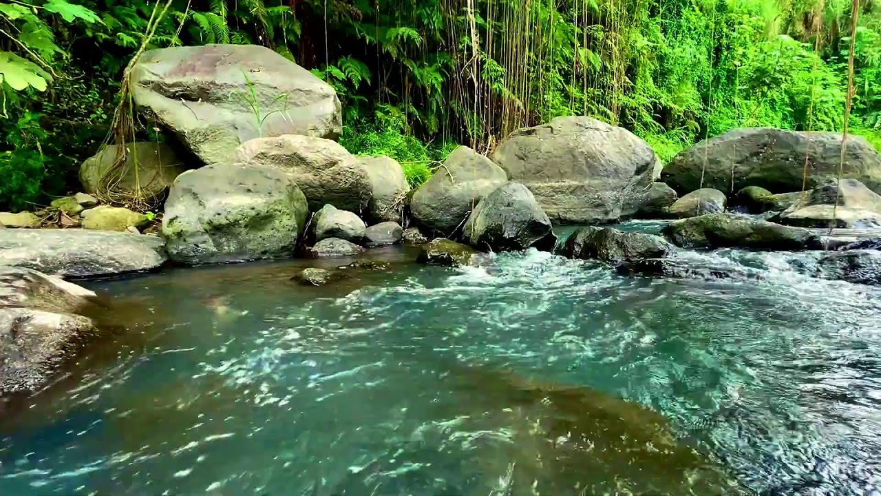 Deep River Meditation Sound to Calm the Mind and Improve Emotional Health