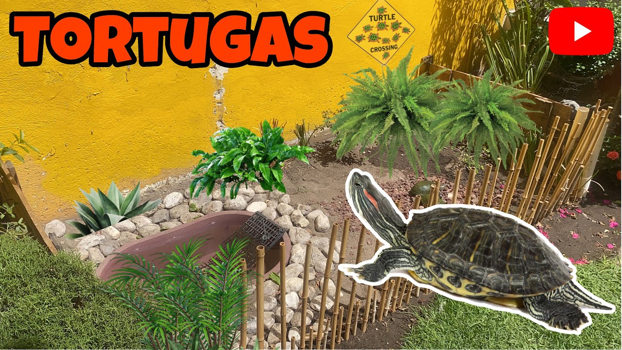 DIY Transformamos el JARDÍN en un ESTANQUE PERFECTO para nuestras TORTUGAS 🐢