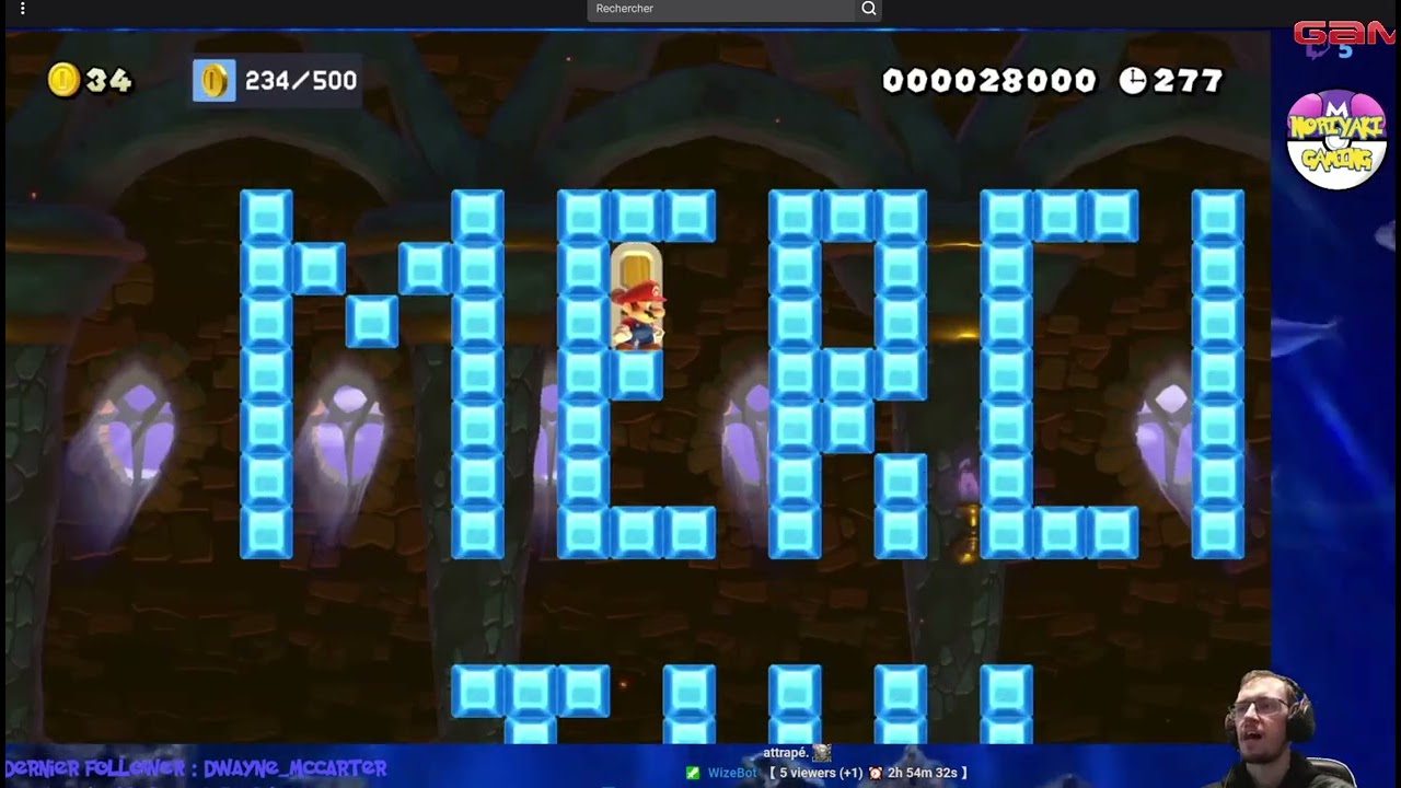 Noriyakakigaming tente Mr & Mrs Pacman + tetris #mariomaker2