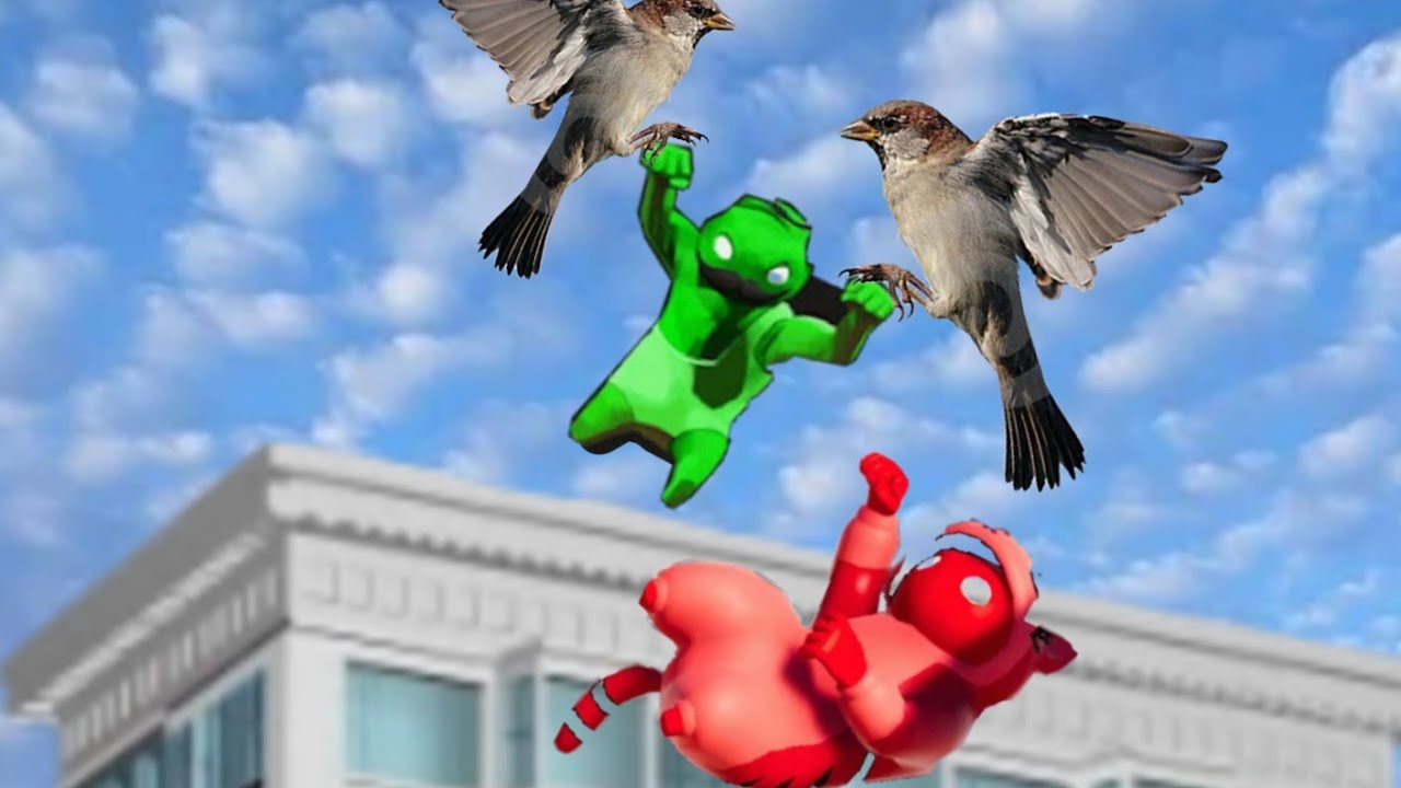 Gang Beasts but burds attack us