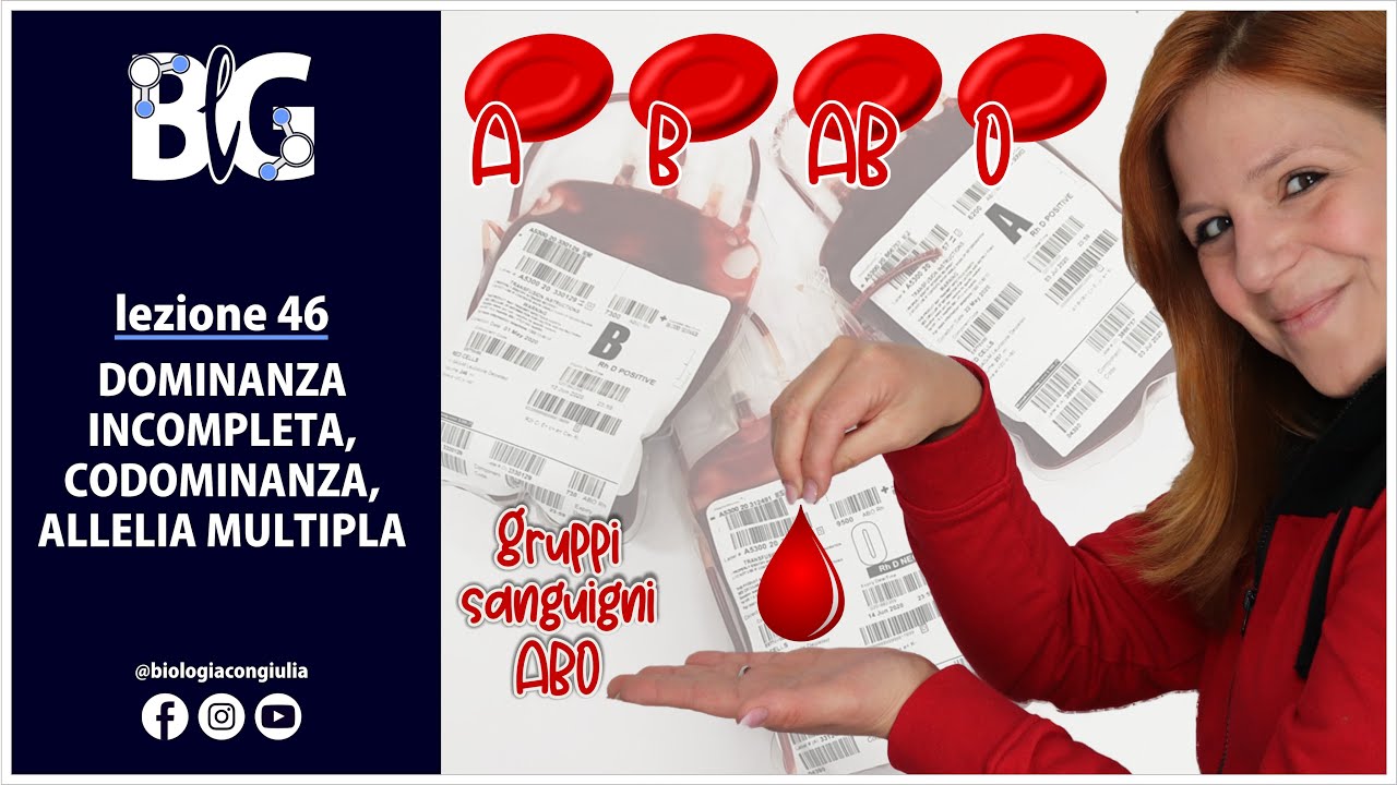 DOMINANZA INCOMPLETA, CODOMINANZA, ALLELIA MULTIPLA - la bella di notte e i gruppi sanguigni umani