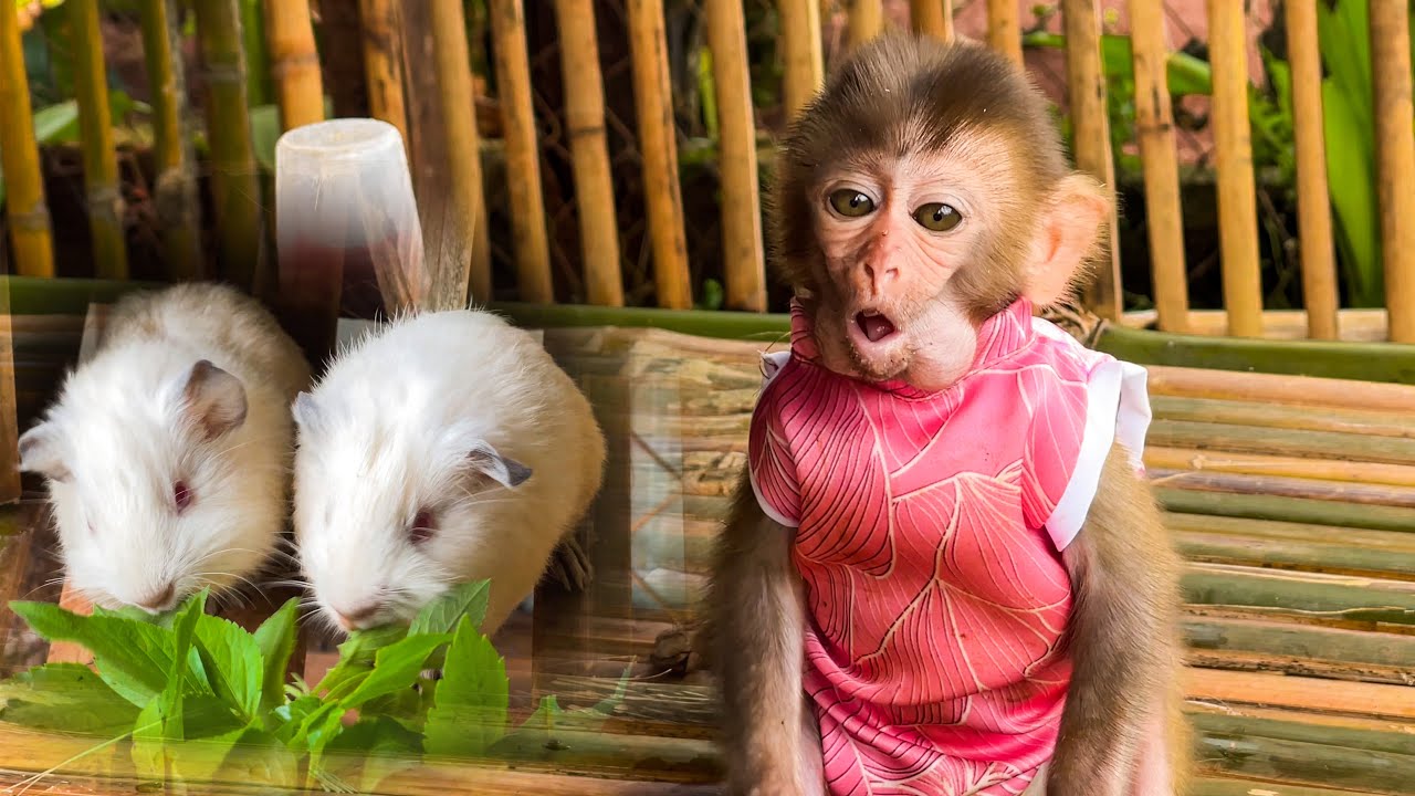 A Truly Happy Day: Bon Meets New Friends & Shows Off a Cute New Outfit 🎉