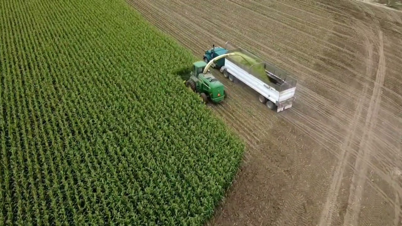 Chopping silage 2026 