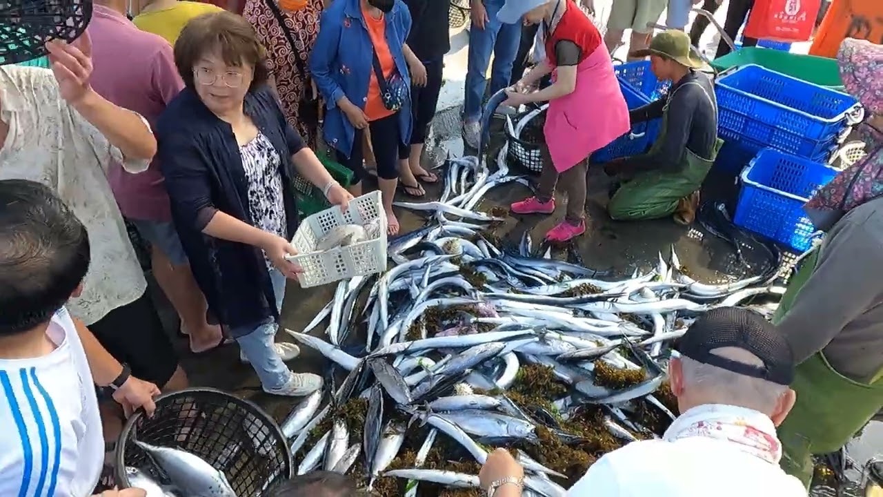 被這份「銀亮的生命力」治癒了!直擊漁港第一手鮮魚卸貨,感受職人最澎湃,最真誠的人情味, 光榮定置漁場 fish 1