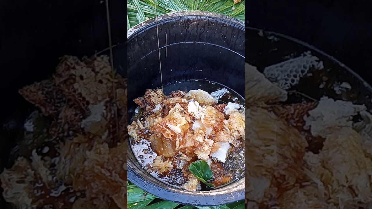 #Pure Honey in the Philippines, There's the actual video..