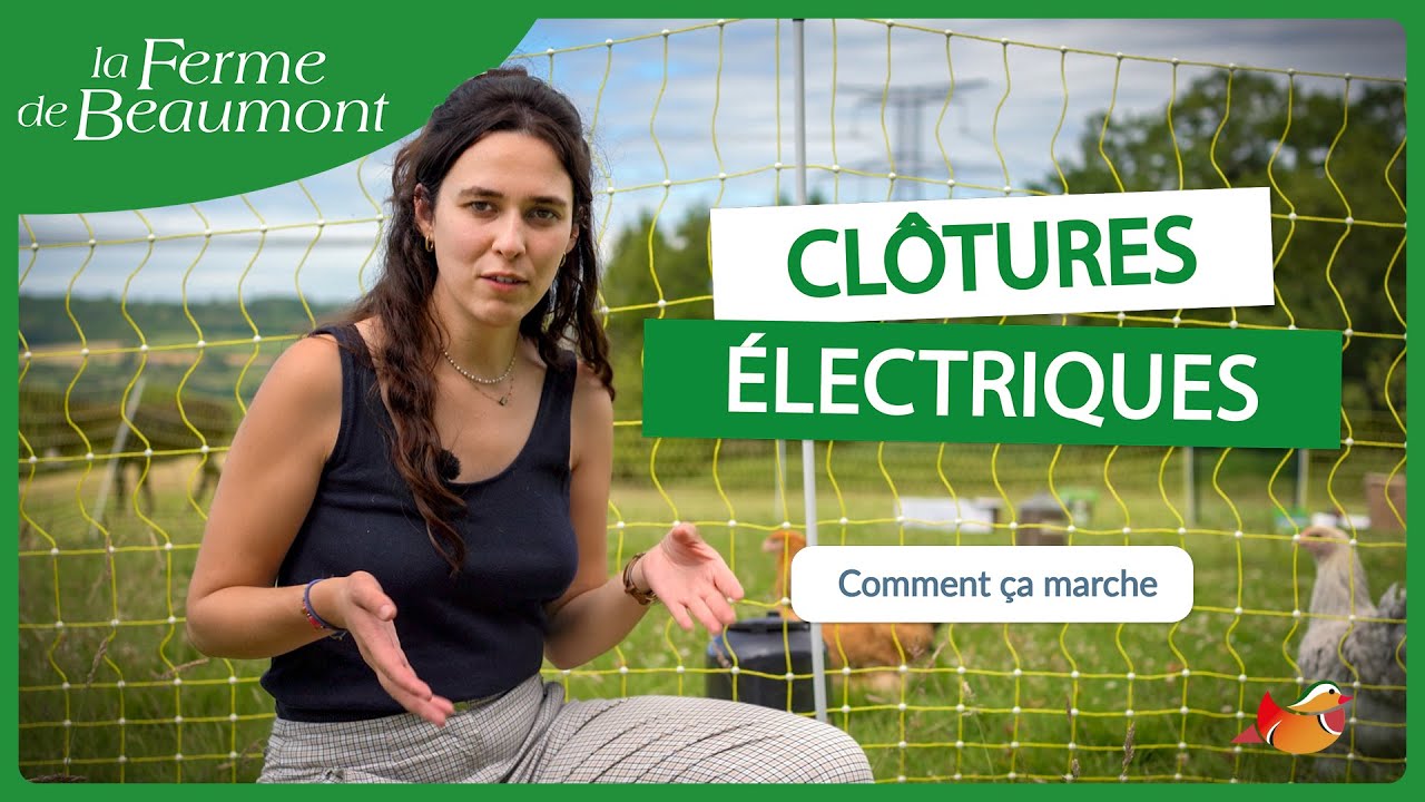Clôtures électriques : comment ça marche ?
