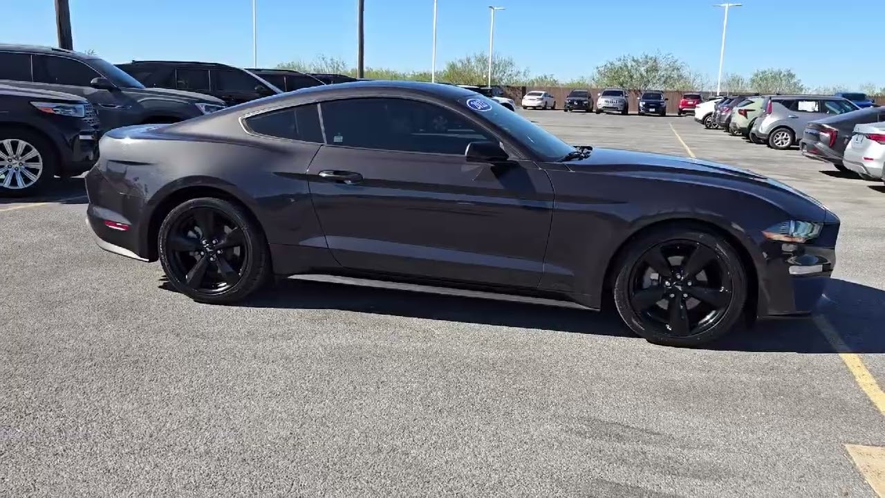 2022 Ford Mustang EcoBoost Coupe Brownsville  South Padre Island  Harlingen  Weslaco  McAllen  Pharr