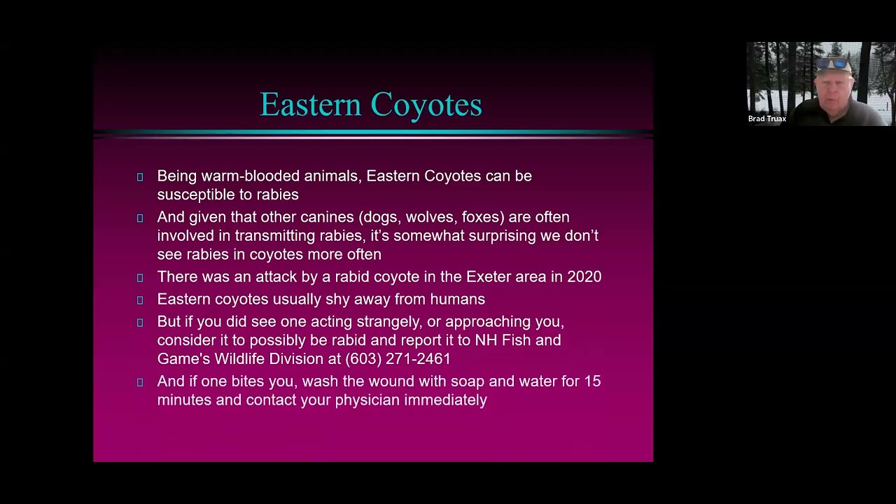 Learn about Rabies