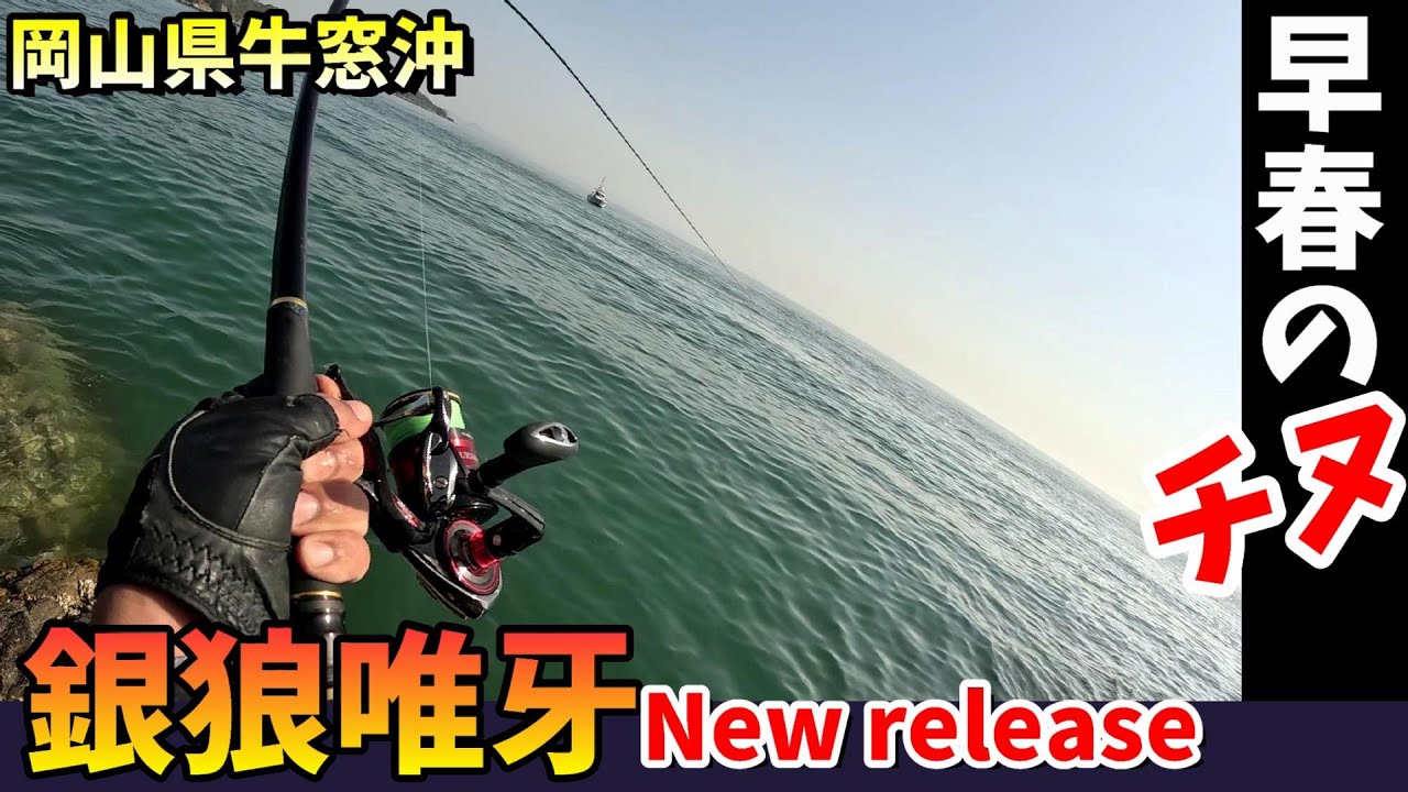 新しい銀狼唯牙で早春のチヌを攻略出来ました。 in 岡山県牛窓沖