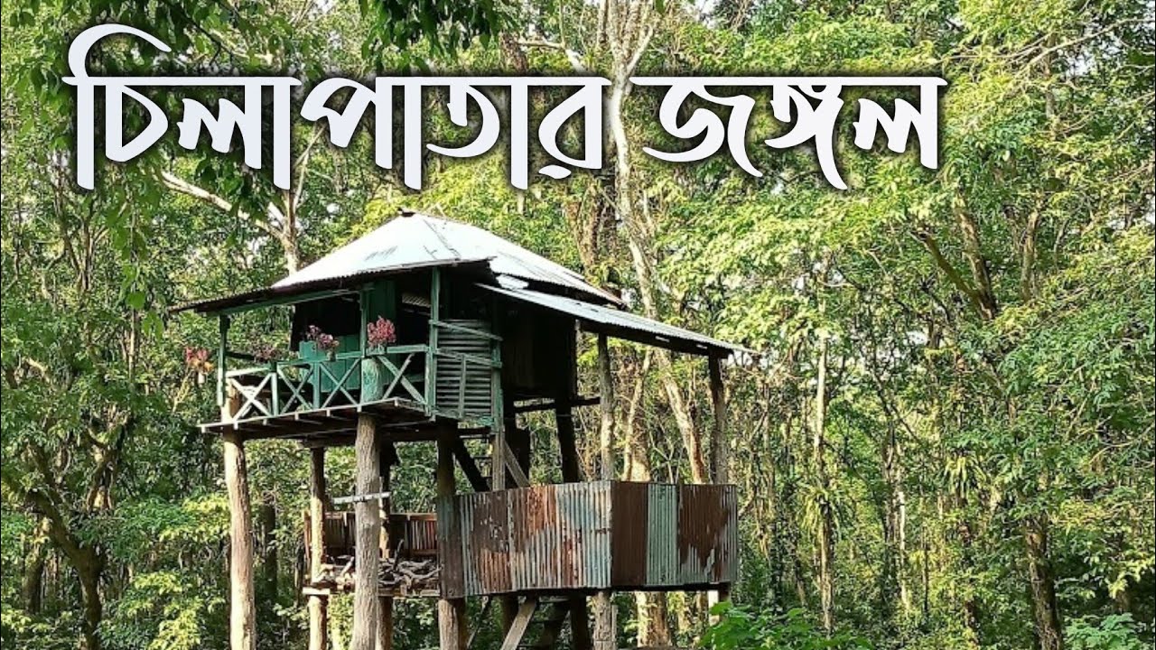 Chilapata Forest | Chilapata Jungle Safari | Dooars Tour