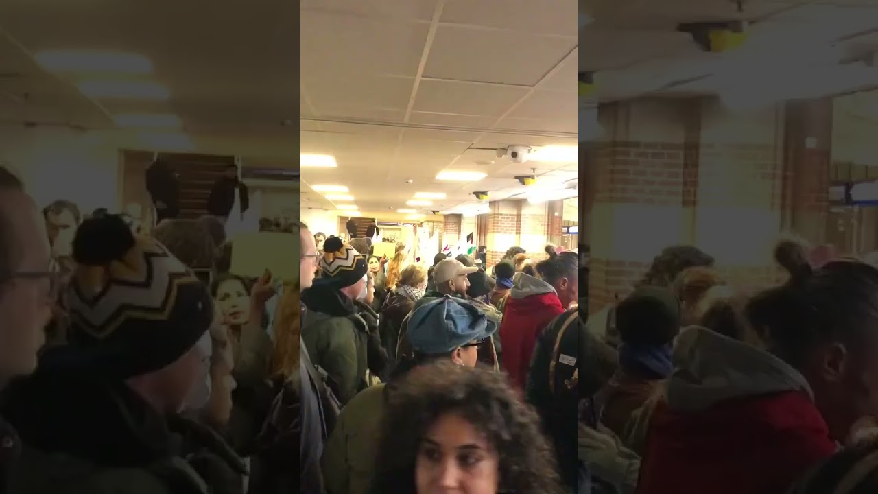 Pro-Palestinian Protesters Gathered in Amsterdam Central Station