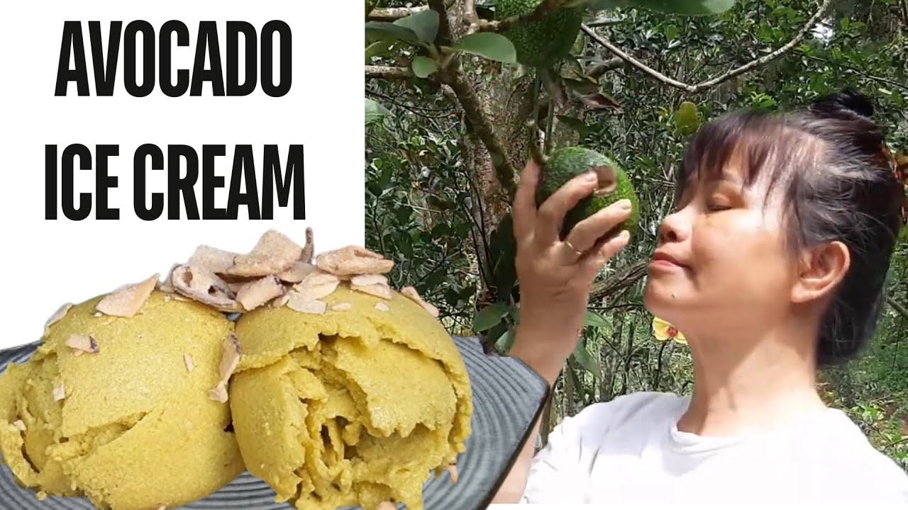 Mai huong Food | How to make avocado ice cream with ripe avocados harvested from the garden