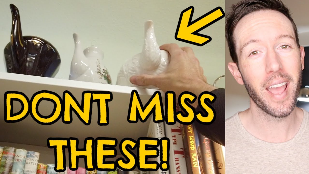You Won't Believe These Vintage Finds! Antique Shopping & Road Trippin With My Pup! Thrifting Haul!