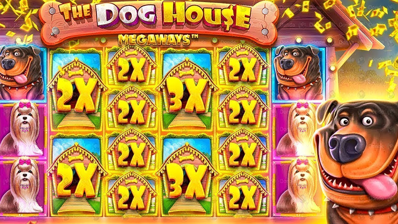 THE DOG HOUSENI YOMONAM CHOQILATDIK ! 3000$ ZANOS ! 100TA LAYK VA TELEGRAM KANALDA VAUCHER TASHAYMAN