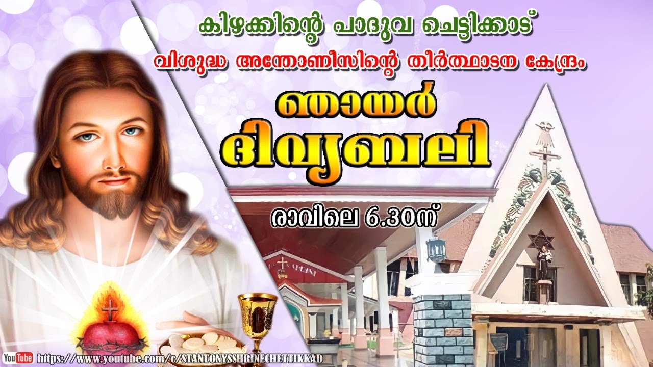 08 FEBRUARY 2026  ||  ദിവ്യബലി ||  ST. ANTONYS SHRINE CHETTIKKAD