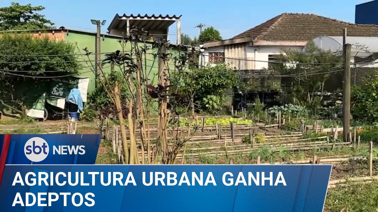 Agricultura urbana ganha novos adeptos | #SBTNews (27/01/24)
