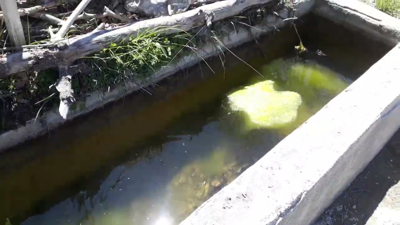 YAYLA ÇEŞMELERİ (HAYRATLAR)