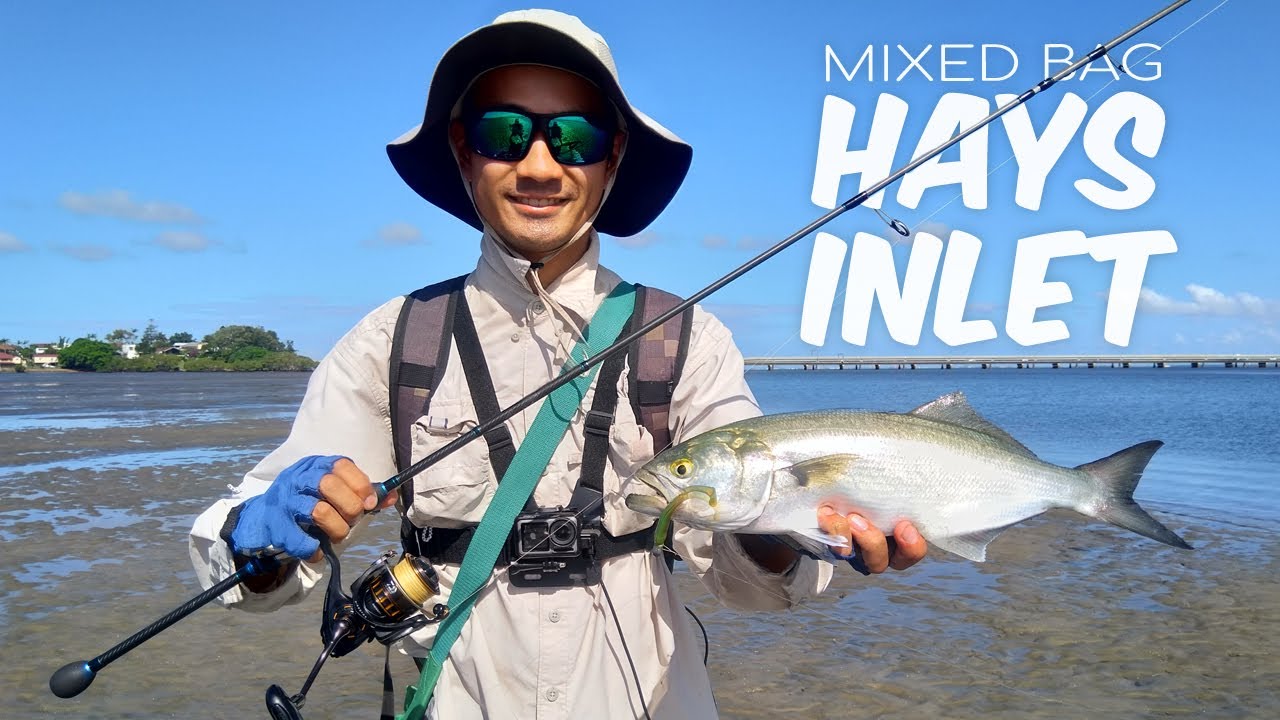 Flathead, Tailor & Bream Mixed Bag - Fishing Hays Inlet, Clontarf in Redcliffe