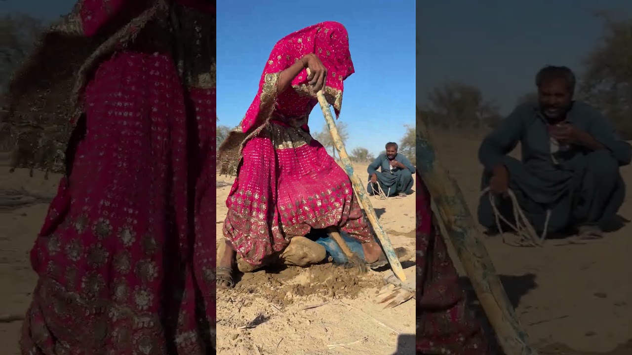 عندما غضب الجمل وبدأ يعضّ قدمه، خاف الزوج وزوجته من الاقتراب منه