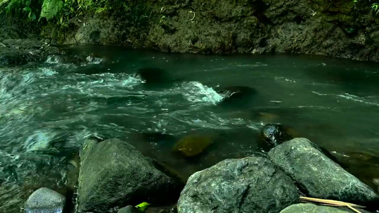 Tranquilidad Instantánea 🌿 Relaxing River Sounds | Río Fluyendo para Dormir y Estudiar